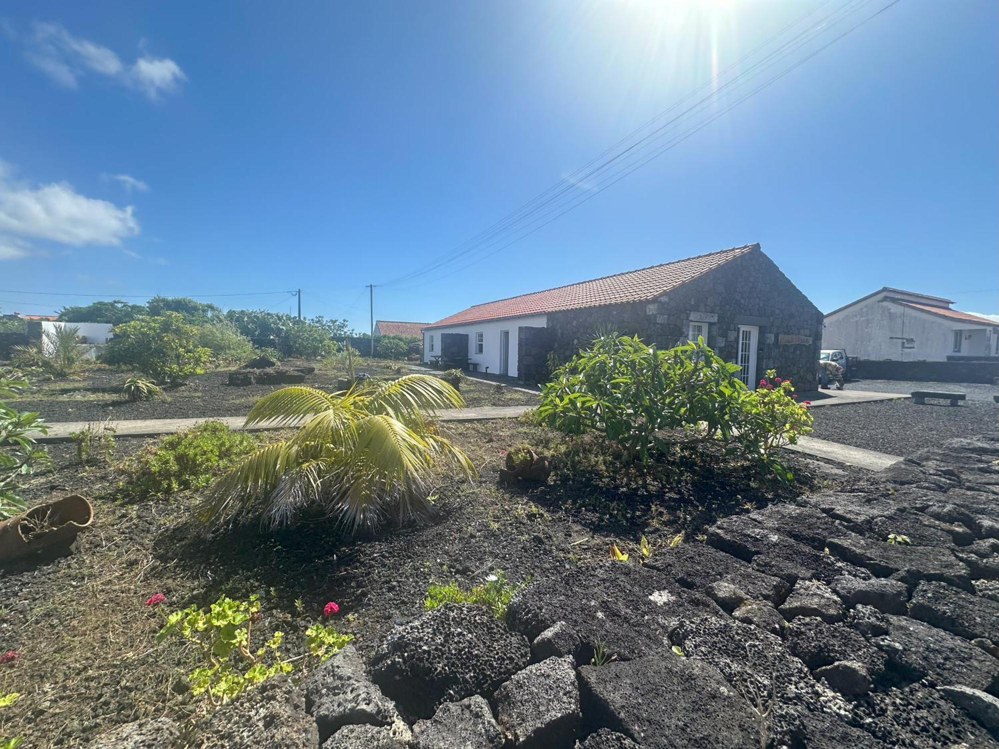 Casas Do Verdelho Madalena  Exterior photo